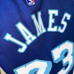 Camiseta Regata NBA Los Angeles Lakers LeBron James 23 Classic Edition Nike - Imagem 8