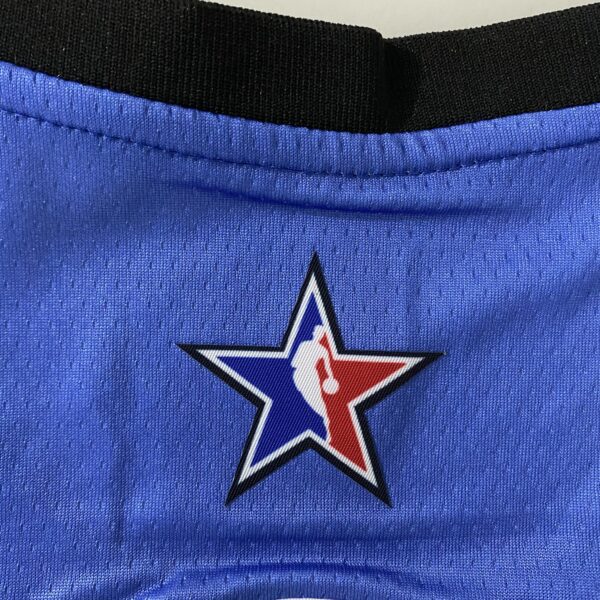 Camiseta Regata Basquete NBA All-Star Game "Team LeBron" Statement Edition LeBron James 6 2023 Azul Nike - Imagem 25