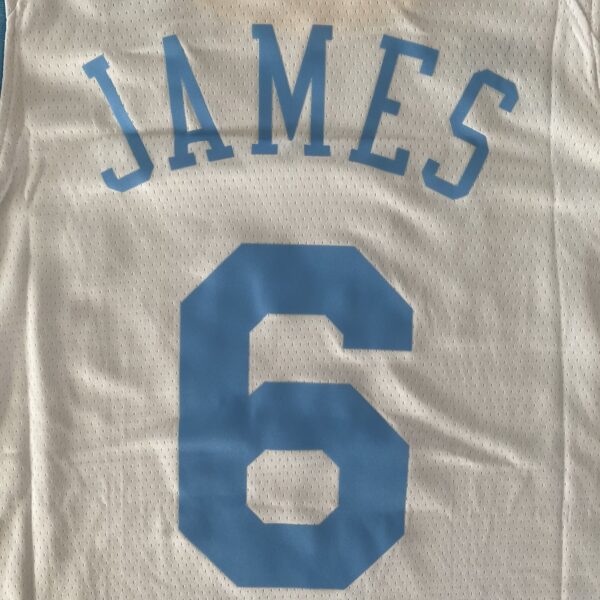 Camiseta Regata Basquete NBA Los Angeles Lakers LeBron James 6 Classic Edition Branca 2023 Nike - Imagem 28