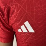 Camisa Manchester United Home Versão Jogador 2024 Adidas - Imagem 6
