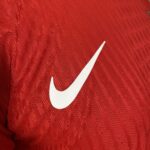 Camisa Seleção Portugal Home Jogador EuroCopa 2024 Nike - Imagem 4