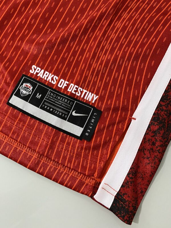 Camiseta Regata Basquete USA EUA Seleção Estados Unidos Olimpíadas Paris 2024 Stephen Curry 4 Vermelha Nike - Imagem 25