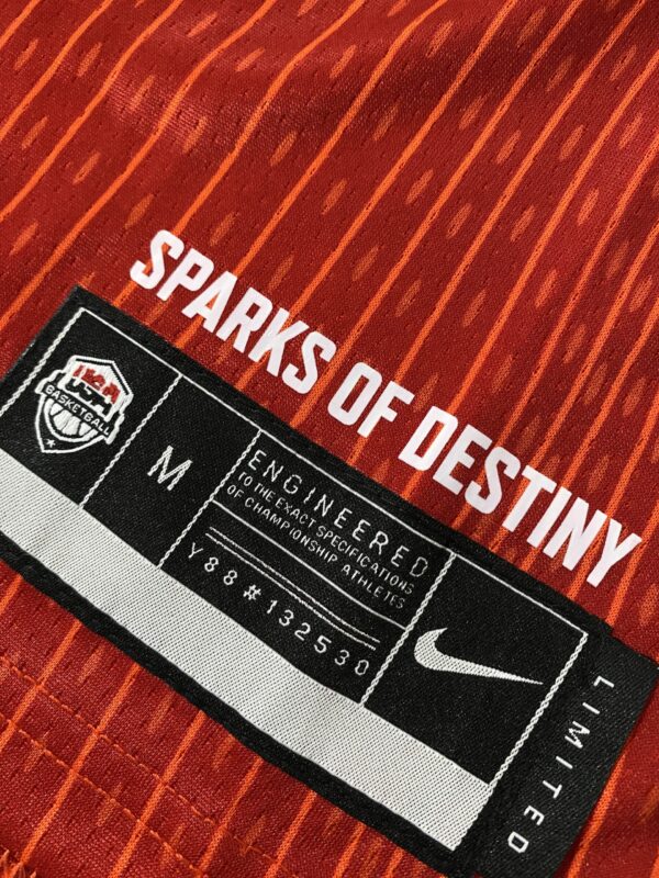 Camiseta Regata Basquete USA EUA Seleção Estados Unidos Olimpíadas Paris 2024 Stephen Curry 4 Vermelha Nike - Imagem 24