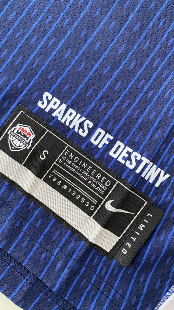 Camiseta Regata Basquete USA EUA Seleção Estados Unidos Olimpíadas Paris 2024 LeBron James 6 Azul Nike - Imagem 29