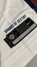 Camiseta Regata Basquete USA EUA Seleção Estados Unidos Olimpíadas Paris 2024 LeBron James 6 Branca Nike - Imagem 21