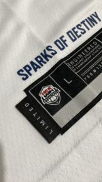 Camiseta Regata Basquete USA EUA Seleção Estados Unidos Olimpíadas Paris 2024 LeBron James 6 Branca Nike - Imagem 22