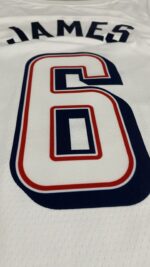 Camiseta Regata Basquete USA EUA Seleção Estados Unidos Olimpíadas Paris 2024 LeBron James 6 Branca Nike - Imagem 26