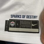 Camiseta Regata Basquete USA EUA Seleção Estados Unidos Olimpíadas Paris 2024 LeBron James 6 Branca Nike - Imagem 13