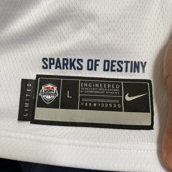 Camiseta Regata Basquete USA EUA Seleção Estados Unidos Olimpíadas Paris 2024 LeBron James 6 Branca Nike - Imagem 13
