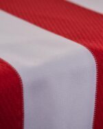 Camisa Olympiacos Home Especial 100 anos Versão Torcedor 2025/2026 Adidas - Imagem 6