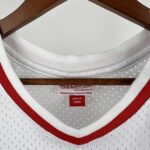 Camiseta Regata Basquete NBA Philadelphia 76ers Sixers 3 Allen Iverson Mitchell & Ness 1996/97 - Imagem 6