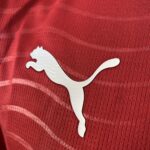 Camisa Seleção Portugal Home Versão Jogador Copa Do Mundo 2026 Puma Vermelha - Imagem 4